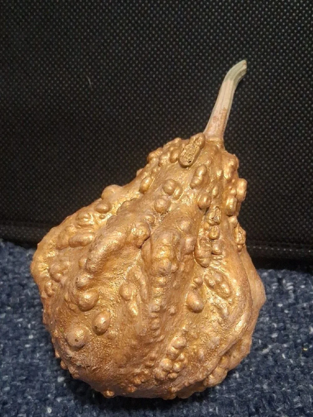 Decorative Dried Gourds-